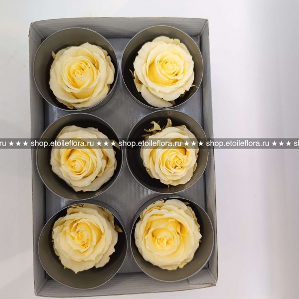 Роза RSX/2490A, розовая, 6 бутонов Роза RSX/2490A, розовая, 6 бутонов