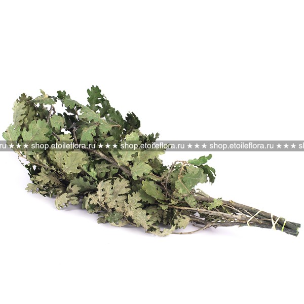 QRC/0105A Дуб ветви зеленый QRC/0105A Дуб ветви зеленый